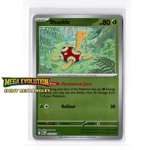 011/132 - Shuckle - Reverse Holo