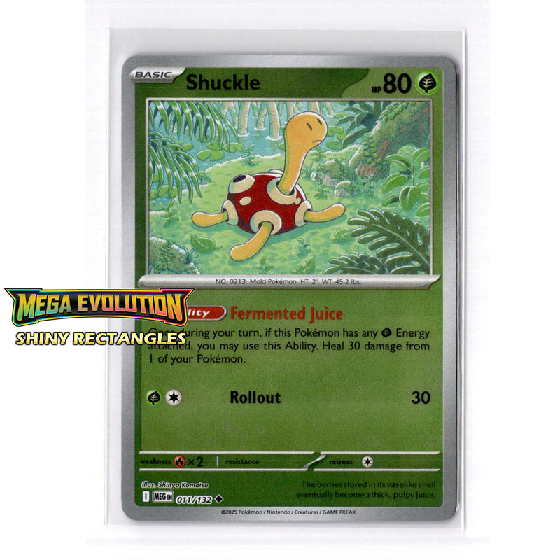 011/132 - Shuckle - Reverse Holo