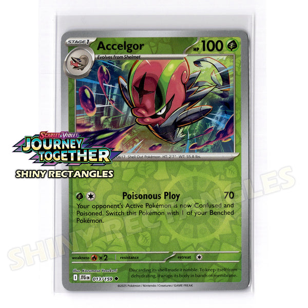 013/159 - Accelgor - Reverse Holo