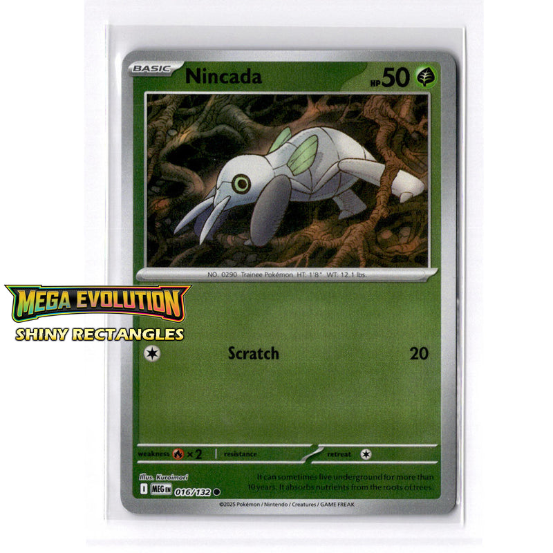 016/132 - Nincada - Reverse Holo