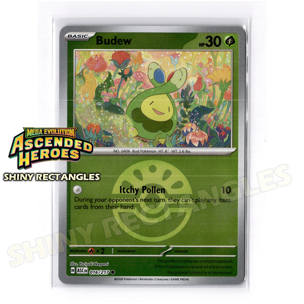 016/217 - Budew - Friend Ball