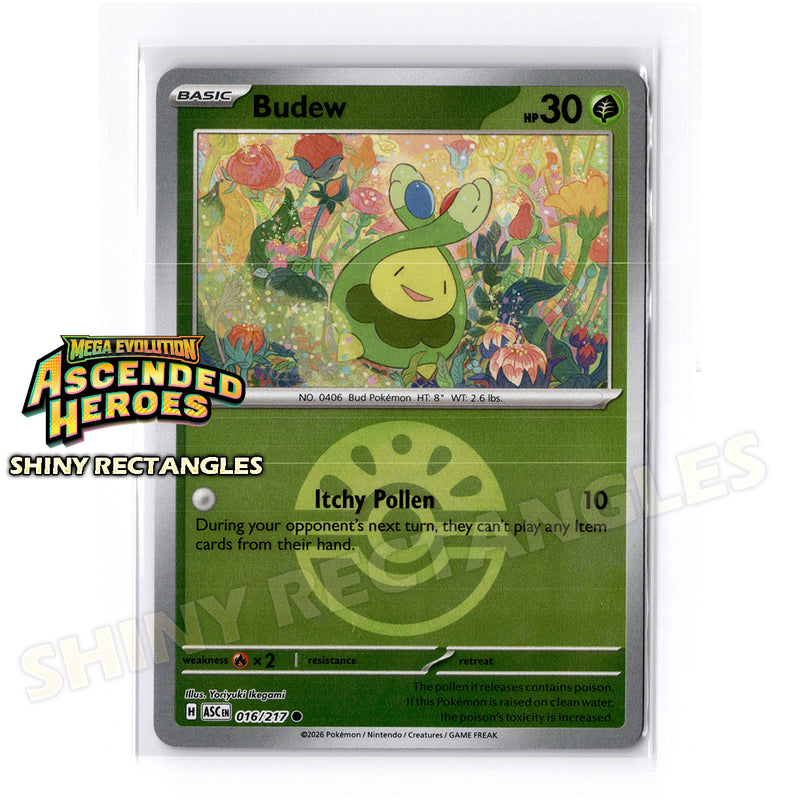016/217 - Budew - Friend Ball
