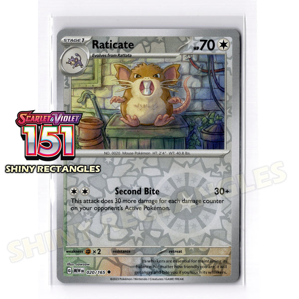 020/165 - Raticate - Reverse Holo