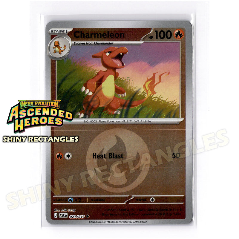 021/217 - Charmeleon - Energy Symbol