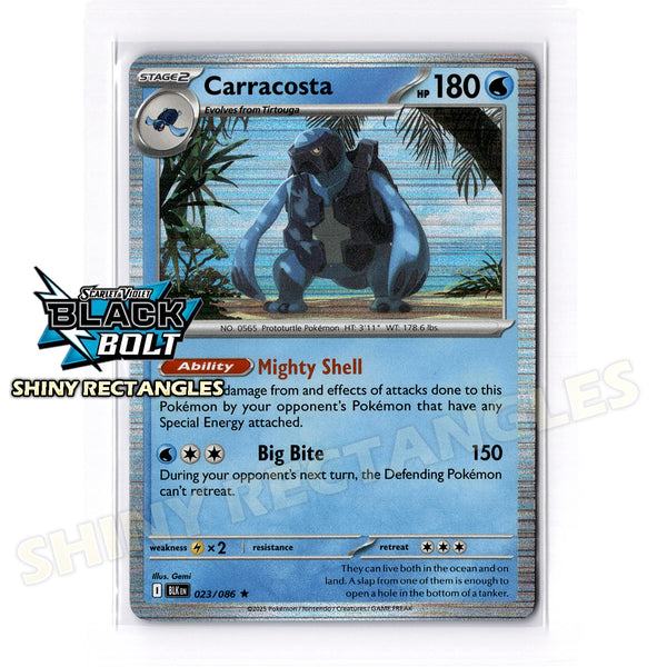 023/086 - Carracosta - Holofoil