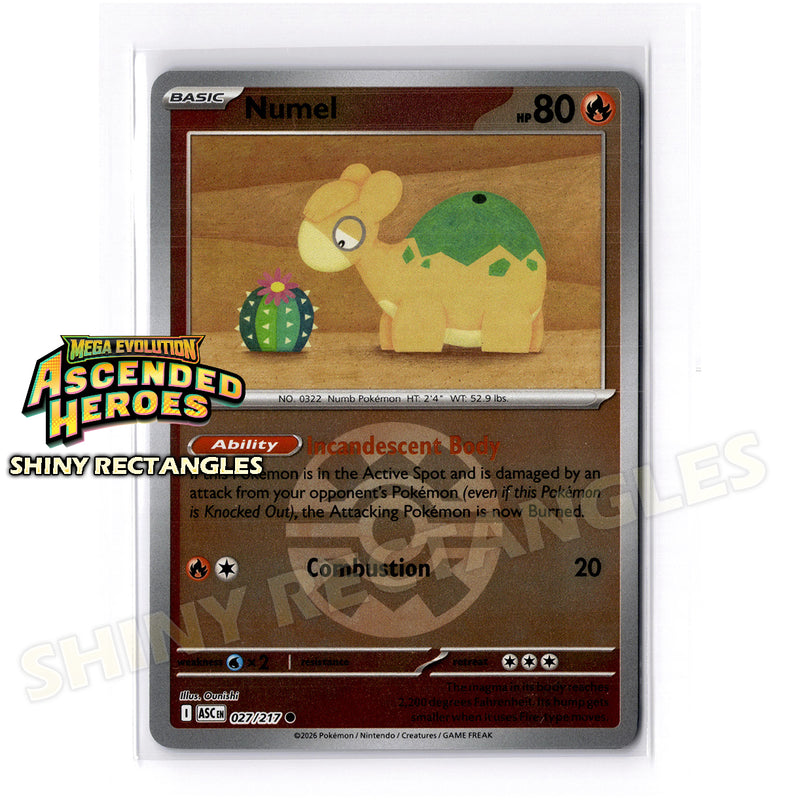 027/217 - Numel - Quick Ball