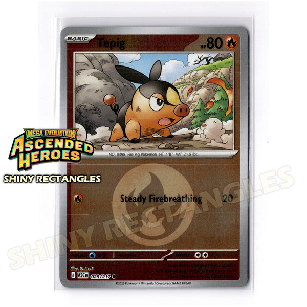 029/217 - Tepig - Energy Symbol