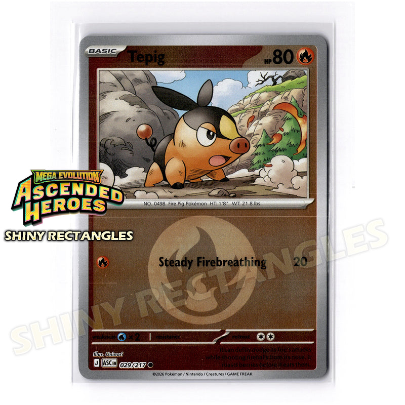 029/217 - Tepig - Energy Symbol