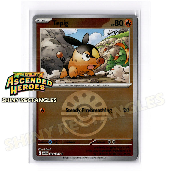 029/217 - Tepig - Friend Ball