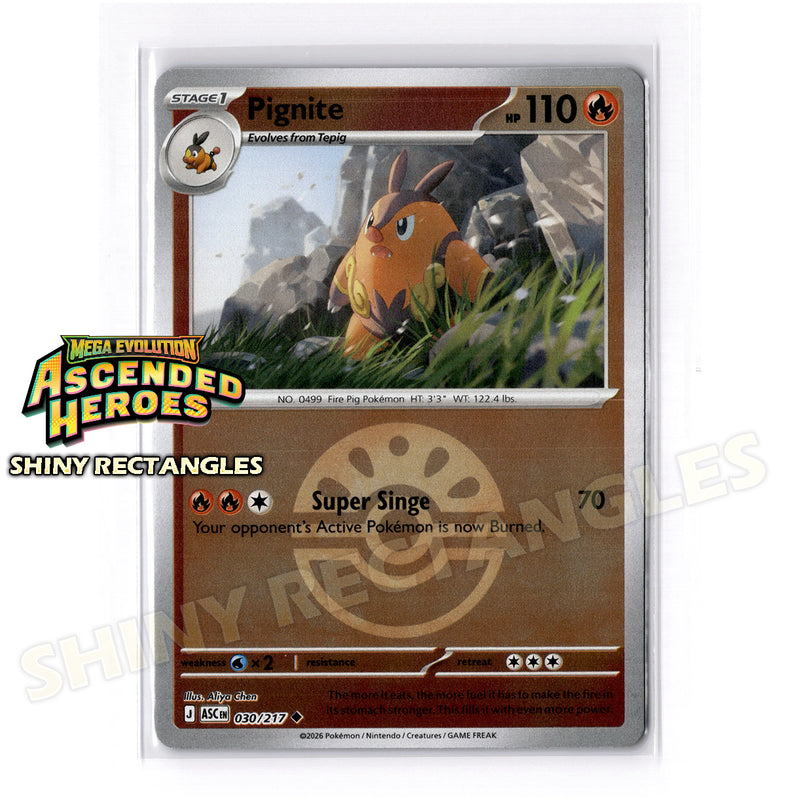 030/217 - Pignite - Friend Ball