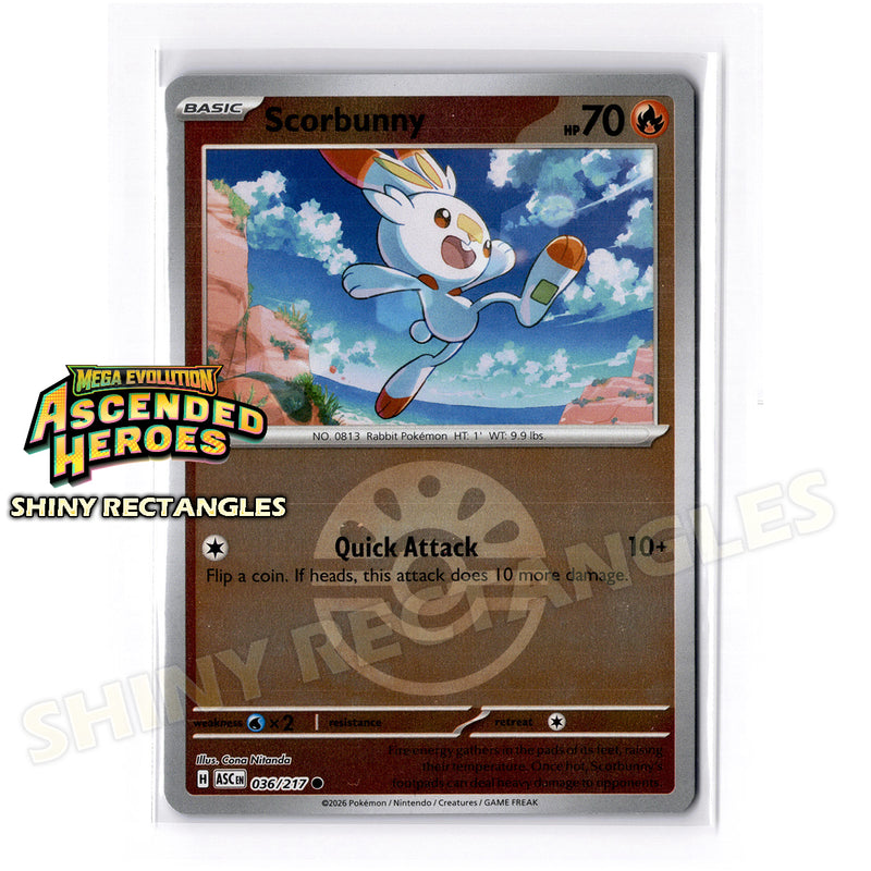 036/217 - Scorbunny - Friend Ball