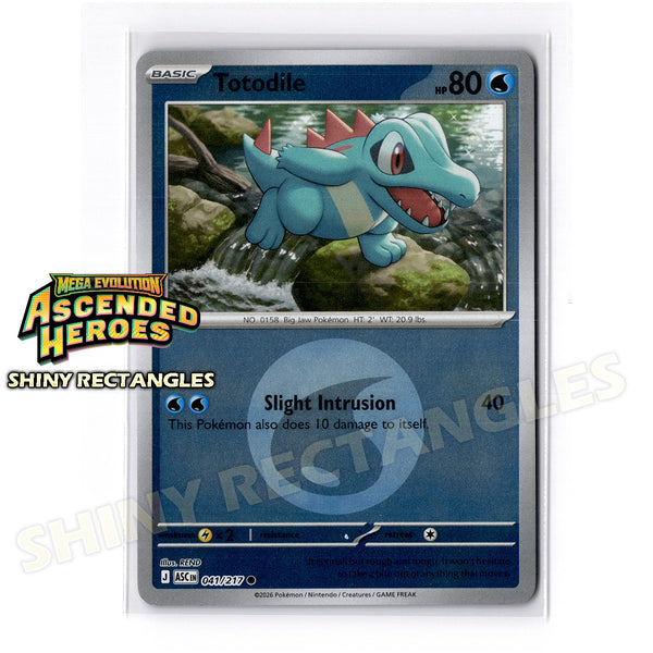 041/217 - Totodile - Energy Symbol