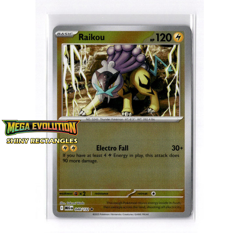 048/132 - Raikou - Reverse Holo