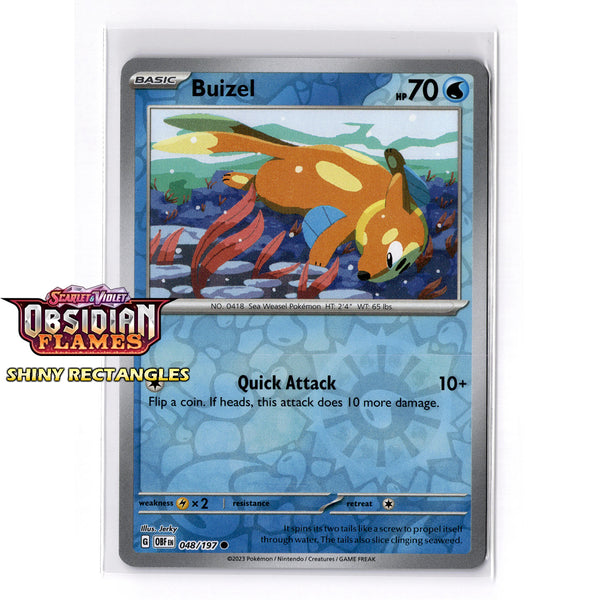 048/197 - Buizel - Reverse Holo