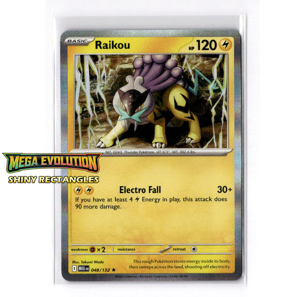 048/132 - Raikou - Holofoil