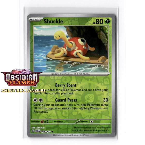 005/197 - Shuckle - Reverse Holo