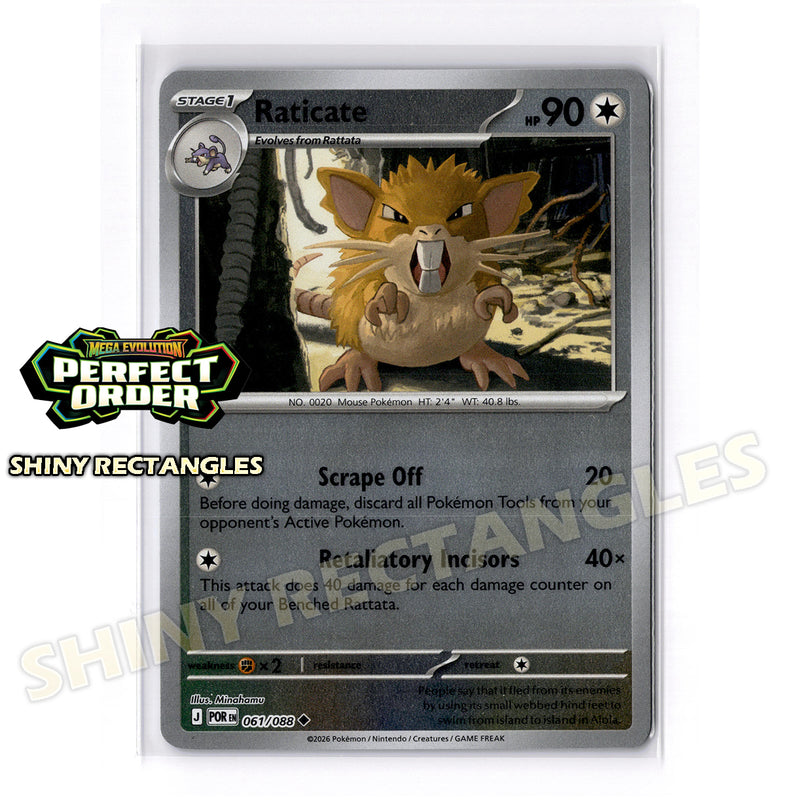 061/088 - Raticate - Reverse Holo