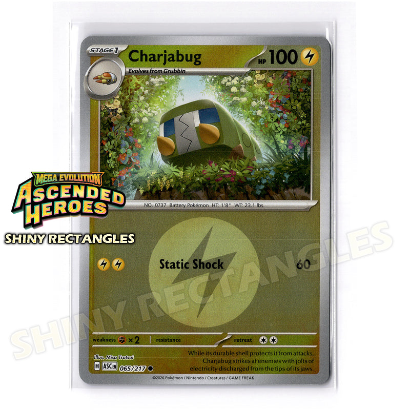 065/217 - Charjabug - Energy Symbol