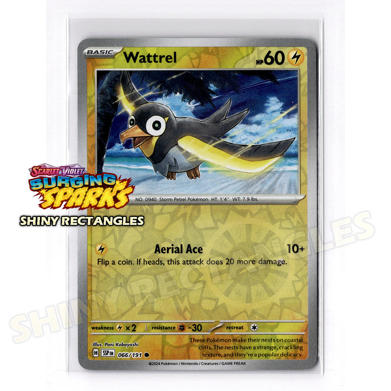 066/191 - Wattrel - Reverse Holo