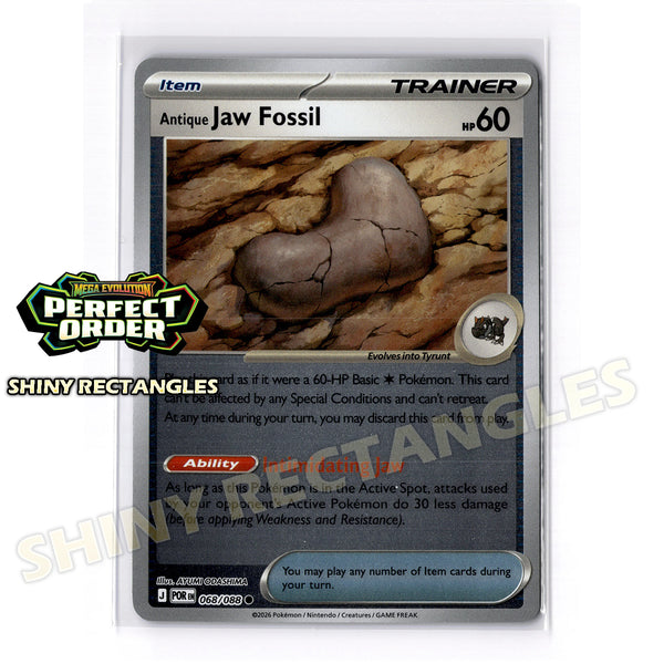 068/088 - Antique Jaw Fossil - Reverse Holo