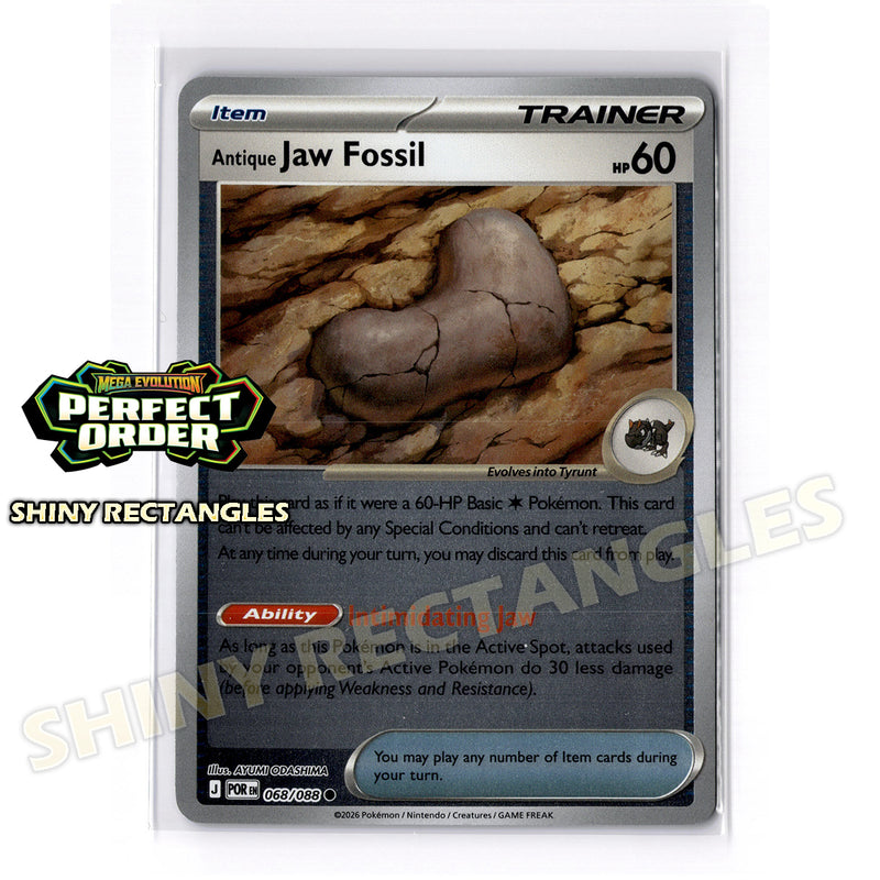 068/088 - Antique Jaw Fossil - Reverse Holo