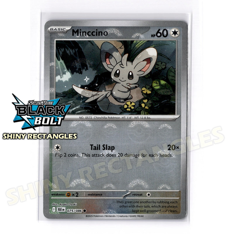 075/086 - Minccino - Poke Ball