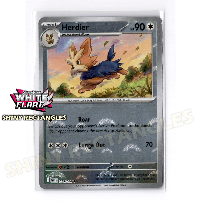075/086 - Herdier - Poke Ball